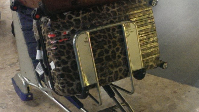 That's a suitcase!!