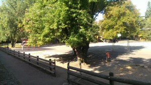 20140905_111730_Android