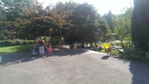 20140905_111817_Android