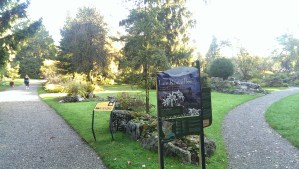 botanical garden