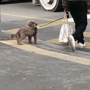 20141014_103815_Android