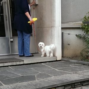 20141014_171037_Android