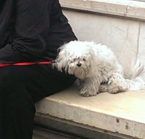 20141015_155508_Android