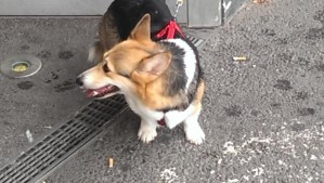 20141016_111816_Android