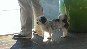 20141018_161434_Android