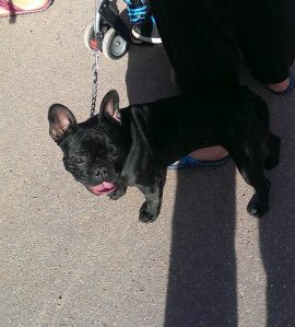 20141019_154910_Android