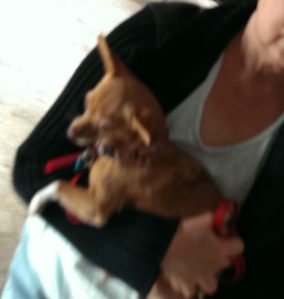 20141020_095642_Android