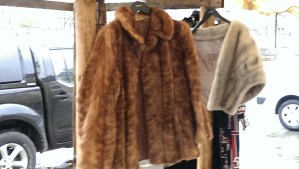 As warm as it is politically incorrect.