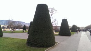 Cone tree