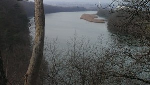 The Rhone looking downstream