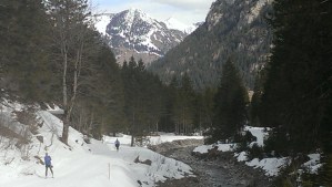 Brook and mountain view