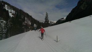Cross country skier in Lichtenstein