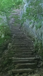 Stone stairs on La Salève trail