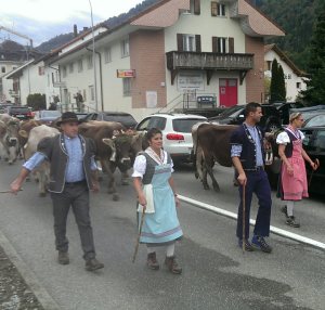 Traditional costumes