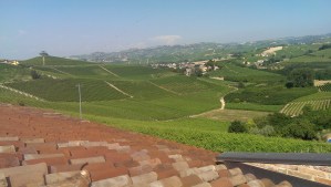  Slate tile roofs and vineyards