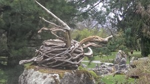 Bird sculpture in botanical garden